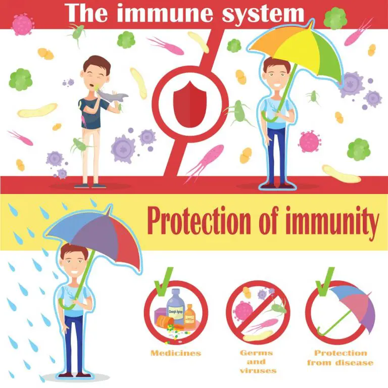 Immune System Diseases Types Symptoms Prevention Std Gov Blog