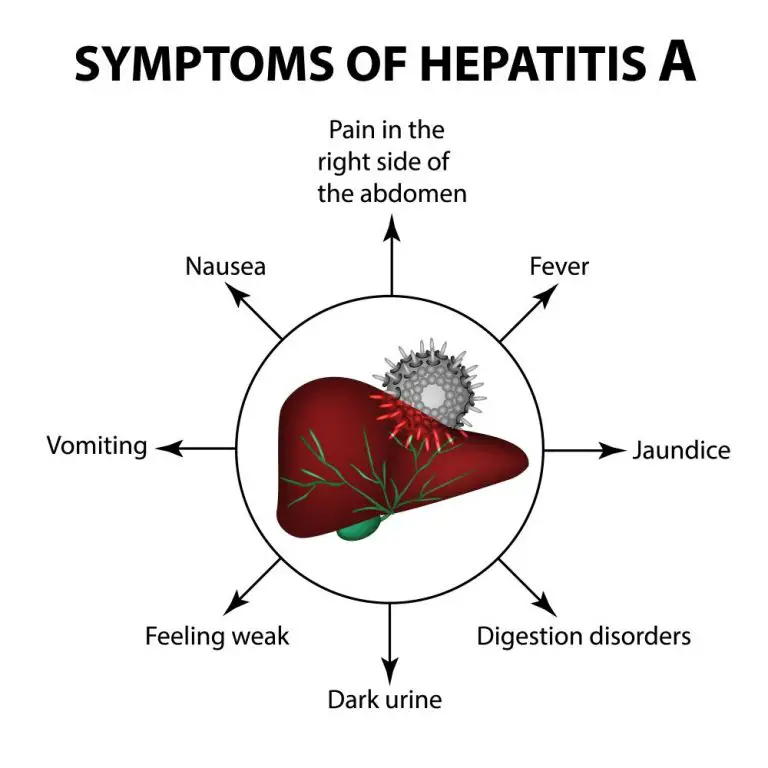 Hepatitis A | STD.GOV Blog