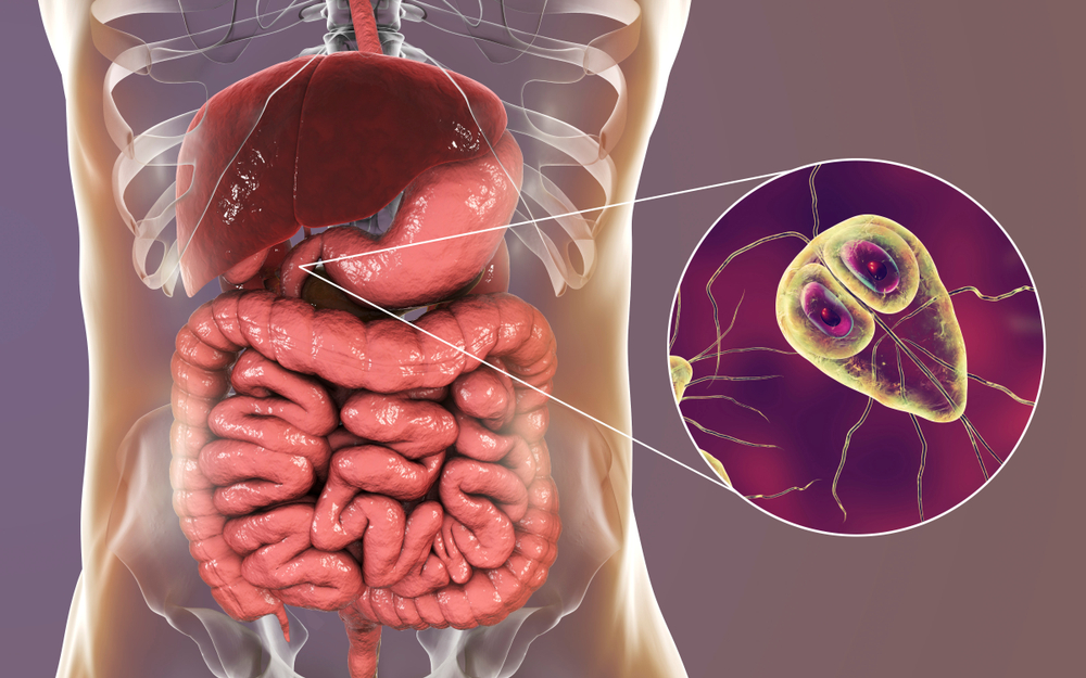 Bowel Infections Types Symptoms Causes Treatment Std Gov Blog
