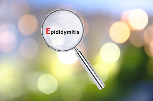 Chronic Epididymitis Causes Symptoms Diagnosis Treatment Stdgov Blog