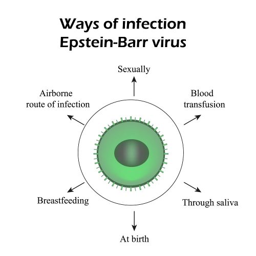 epstein-barr-virus-types-symptoms-treatment-home-remedies-std-gov