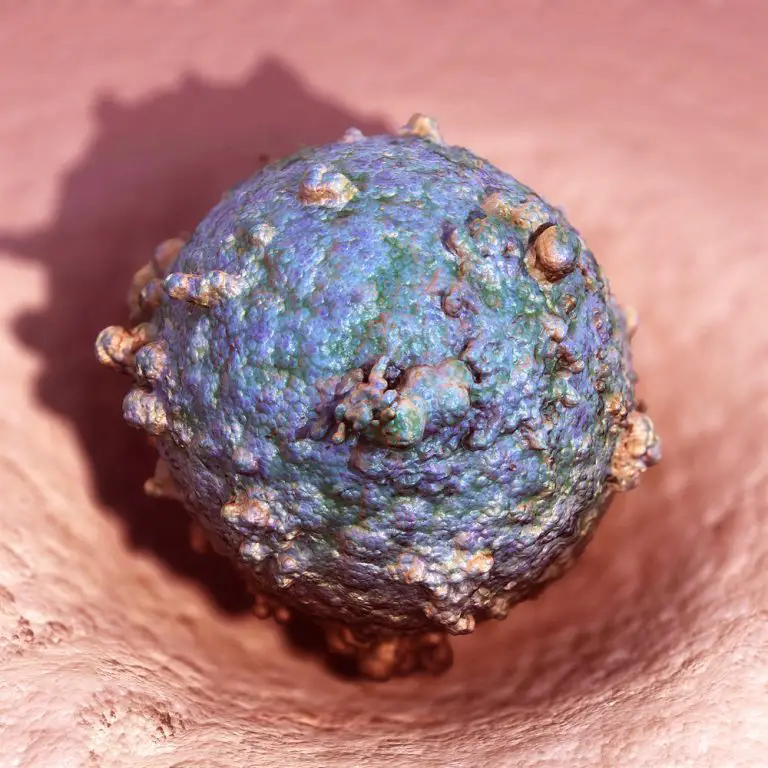 What Are the Causes of Swollen Testicles? | STD.GOV Blog