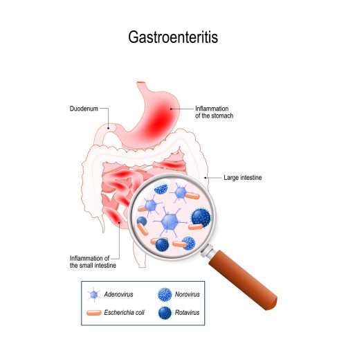 12 Common Communicable Diseases Stdgov Blog