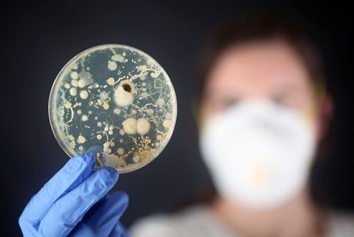 What Diseases Are Caused By Bacteria