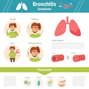 Chest Cold | symptoms, treatments, home remedies, anatomy, infographics