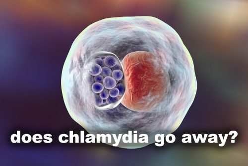 does-chlamydia-go-away-std-gov-blog