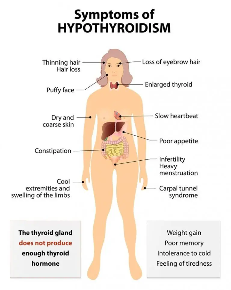 female-weight-gain-tips-products-hypothyroidism