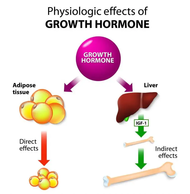 growth-hormone-therapy-risks-cost-side-effects