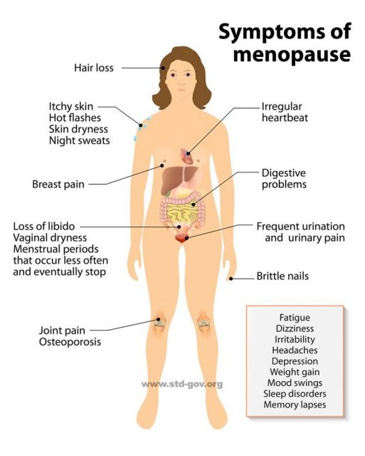 How Long Does Menopause Last Stdgov Blog 0646