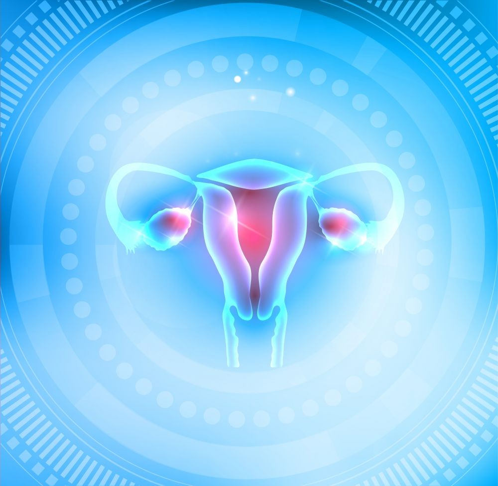 Ovary Pain | major causes, anatomy, treatment options