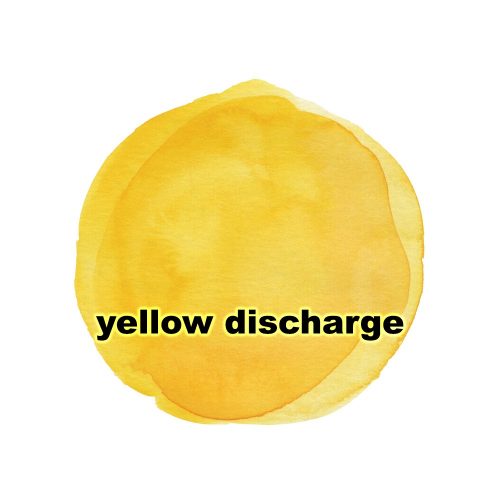 Yellow Discharge causes, types, anatomy, images