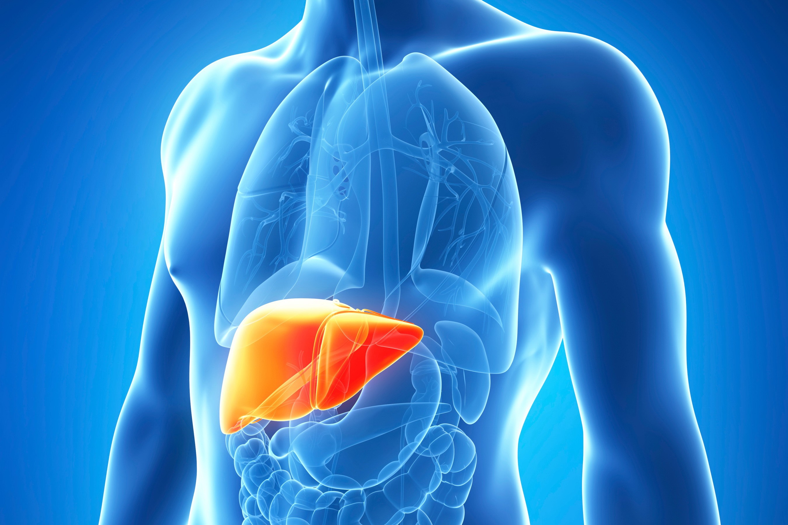 Hepatitis C Symptoms Treatment Causes What Is Hepatitis C